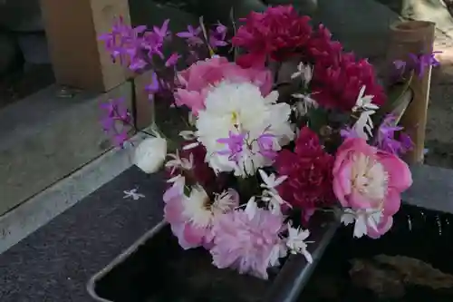 高司神社〜むすびの神の鎮まる社〜の手水舎