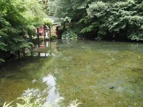 富士山本宮浅間大社の庭園