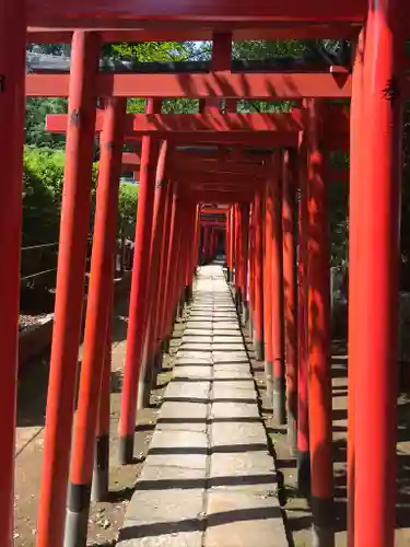 根津神社の鳥居