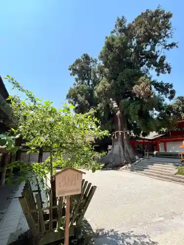 春日大社(奈良県)