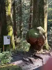 花園神社(茨城県)