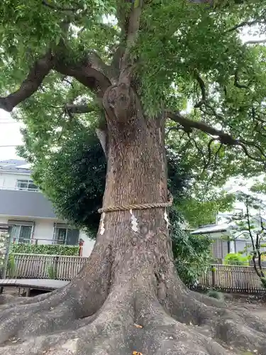 日々神社(神奈川県)