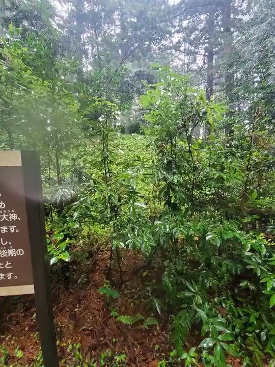 那須神社の自然