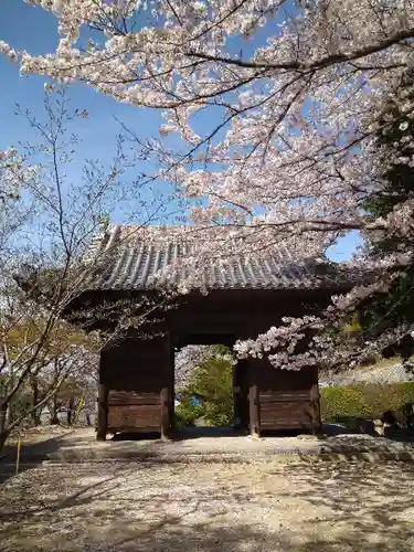 法輪寺の山門