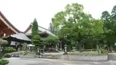 善楽寺(高知県)