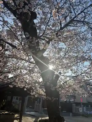 大年神社(兵庫県)