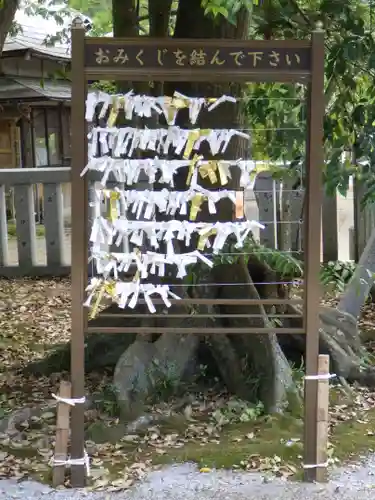 水若酢神社のおみくじ