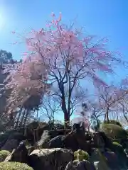 宝徳寺の庭園