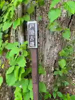 戸隠神社中社(長野県)