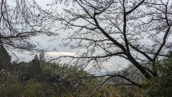 勝持寺(花の寺)(京都府)