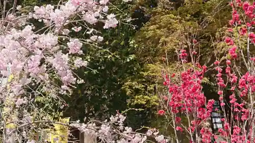 聖神社の自然