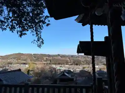 秩父若御子神社(埼玉県)