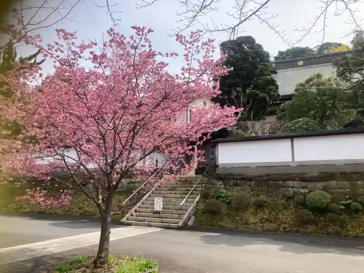 建長寺(神奈川県)