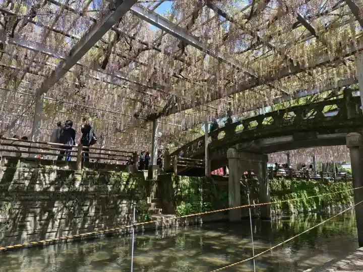 中山熊野神社の{uncategorized: "未分類", other: "その他", undefined: "問題あり", building: "その他建物", grave: "お墓", sacred_gate: "鳥居", guardian: "狛犬", statue: "像", buddha: "仏像", history: "歴史", nature: "自然", garden: "庭園", animal: "動物", pagoda: "塔", temizu: "手水舎", mountain_gate: "山門・神門", sanctuary: "本殿・本堂", subordinate: "末社・摂社", art: "芸術", scenery: "景色", jizo: "地蔵", ema: "絵馬", goshuin: "御朱印", omikuji: "おみくじ", items: "授与品その他", amulet: "お守り", goshuincho: "御朱印帳", eats: "食事", festival: "お祭り", votive_dance: "神楽", shichigosan: "七五三参", wedding: "結婚式", experience: "体験その他", initially: "初詣", around: "周辺", anti_infection: "感染症対策"}