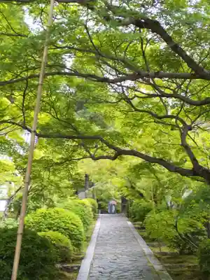 酬恩庵一休寺(京都府)