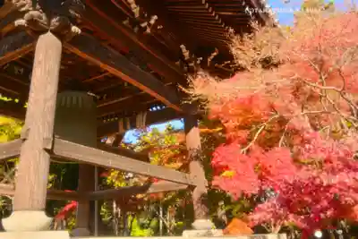 東漸寺(千葉県)