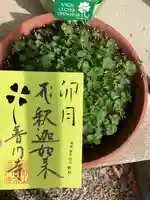 普門寺(切り絵御朱印発祥の寺)のその他建物