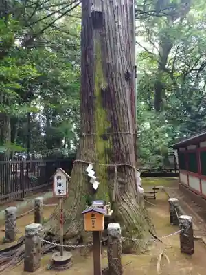 一言主神社(茨城県)
