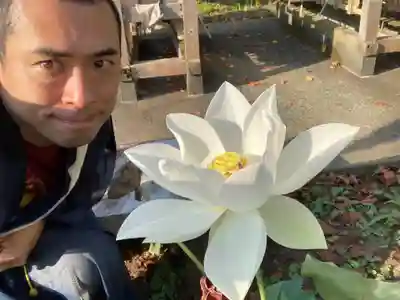 蓮久寺(千葉県)