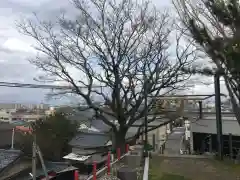 住吉神社の自然