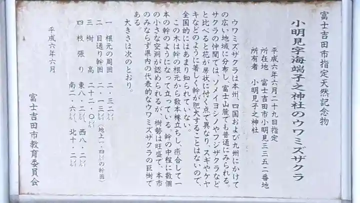 甲子神社(山梨県)