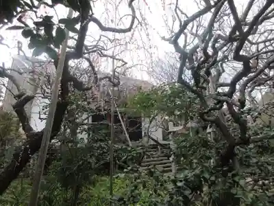 宝戒寺(神奈川県)