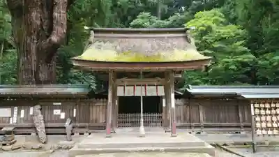 若狭姫神社（若狭彦神社下社）の本殿・本堂