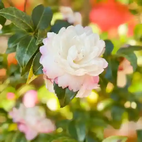 伊勢の国 四天王寺(三重県)