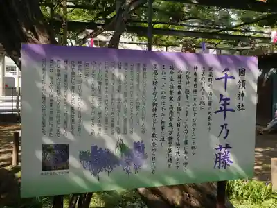 國領神社の歴史