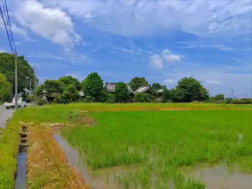 八幡社（堀之内）の自然