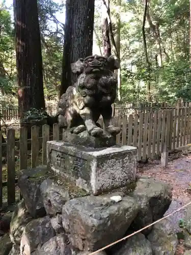 椿大神社の狛犬