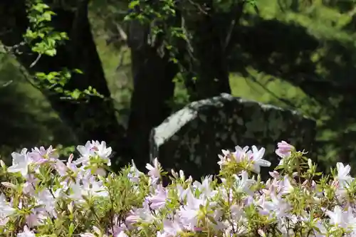 国宝 大法寺の自然