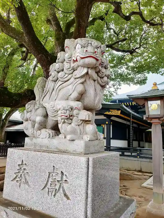 穴八幡宮の狛犬