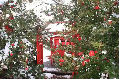 神炊館神社 ⁂奥州須賀川総鎮守⁂の末社・摂社