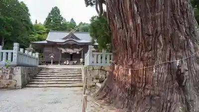 玉若酢命神社の自然