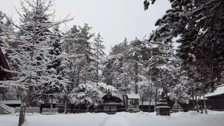 上川神社(北海道)