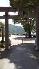 須賀神社の鳥居