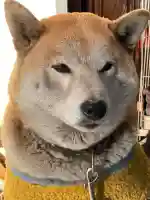 笠䅣稲荷神社(神奈川県)