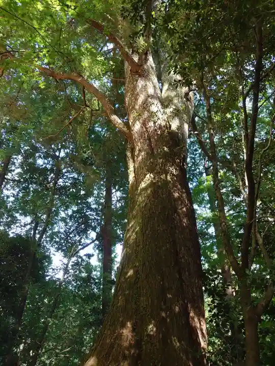 安勝院(岩谷観音)(愛知県)