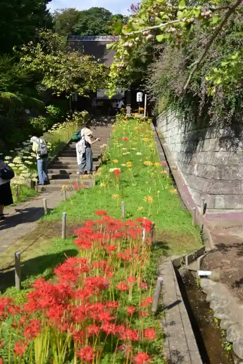 横浜 西方寺(神奈川県)
