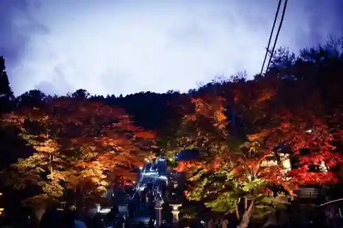 大山阿夫利神社の景色