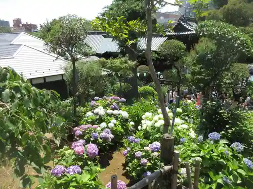 白山神社(東京都)