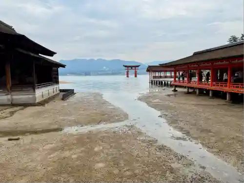 厳島神社(広島県)