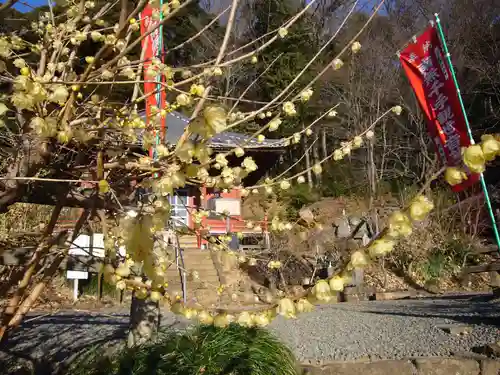 清水寺(栃木県)