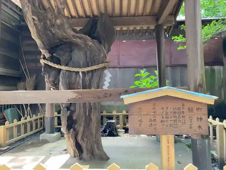 鶴嶺八幡宮(神奈川県)