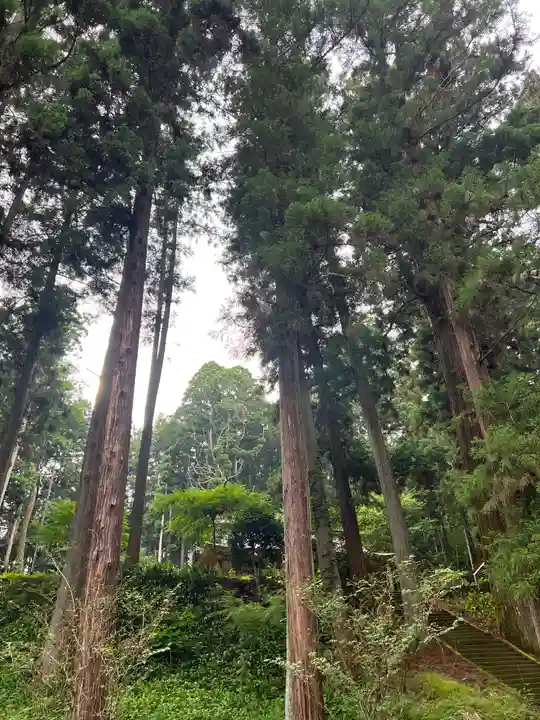 大宮温泉神社(栃木県)