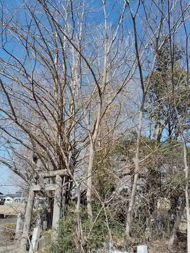 御嶽神社の自然