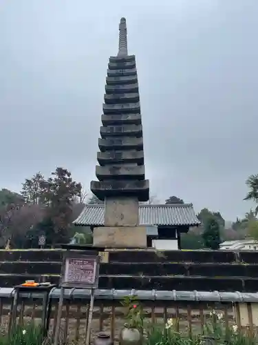 般若寺 ❁﻿コスモス寺❁(奈良県)