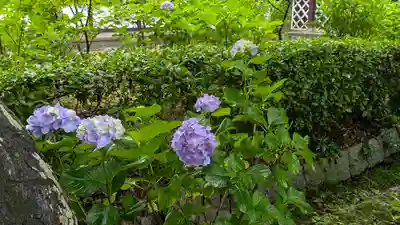 真正極楽寺(真如堂)(京都府)