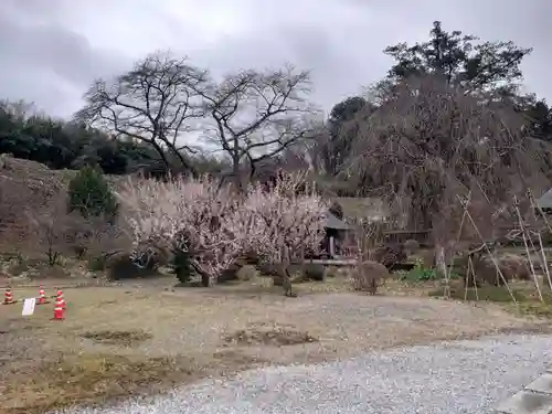 医王寺の庭園